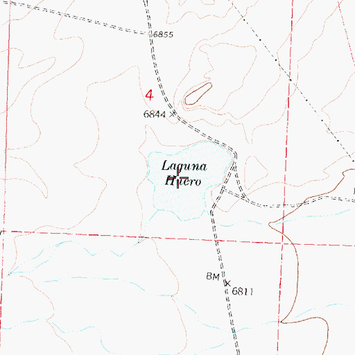 Topographic Map of Laguna Huero, NM