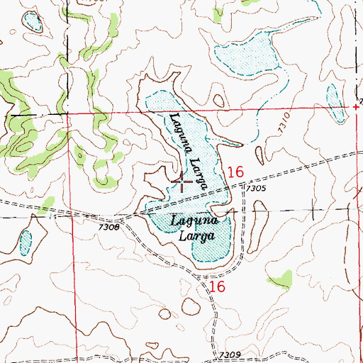 Topographic Map of Laguna Larga, NM