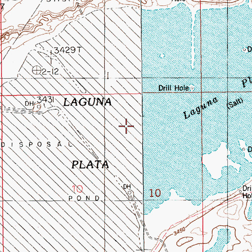 Topographic Map of Laguna Plata, NM