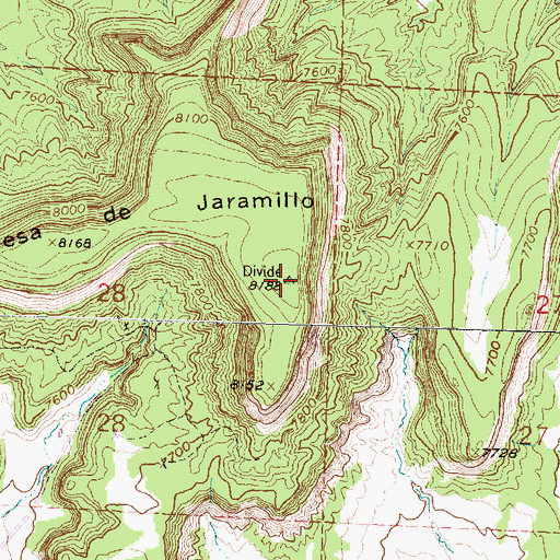 Topographic Map of Mesa de Jaramillo, NM