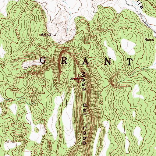 Topographic Map of Mesa del Lobo, NM