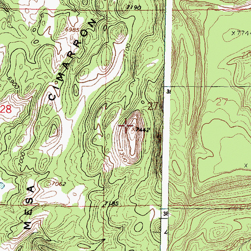 Topographic Map of Mesa Cimarron, NM
