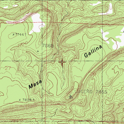 Topographic Map of Mesa Gallina, NM