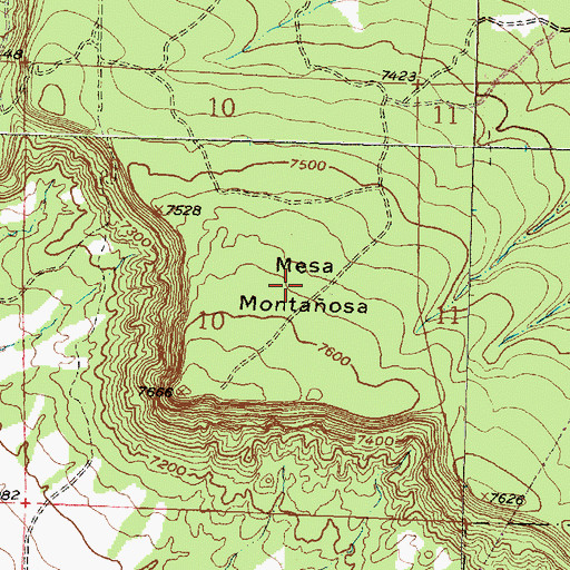 Topographic Map of Mesa Montanosa, NM