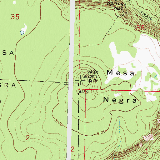 Topographic Map of Mesa Negra, NM