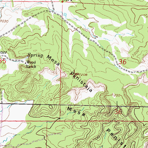 Topographic Map of Mesa Penistaja, NM