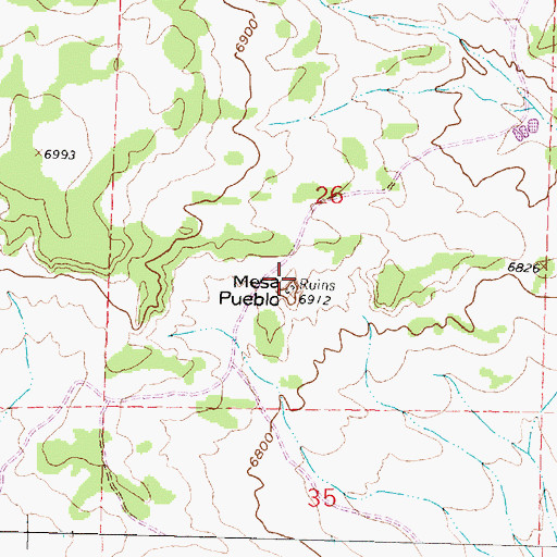 Topographic Map of Mesa Pueblo, NM