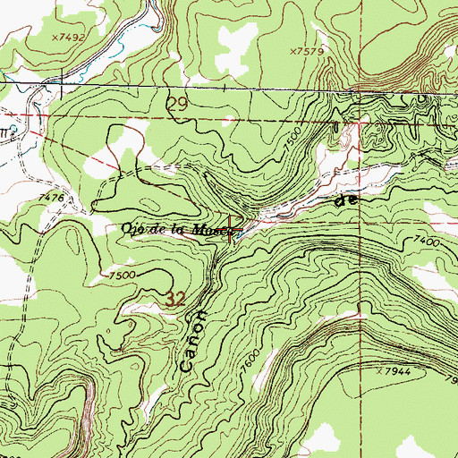 Topographic Map of Ojo de la Mosca, NM