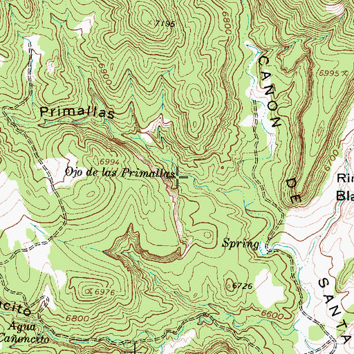 Topographic Map of Ojo de las Primallas, NM