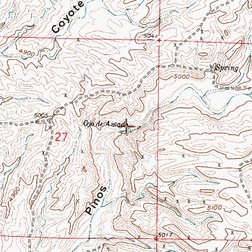 Topographic Map of Ojo de Amado, NM