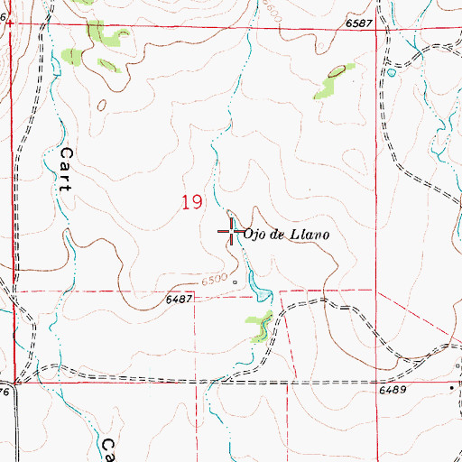 Topographic Map of Ojo de Llano, NM