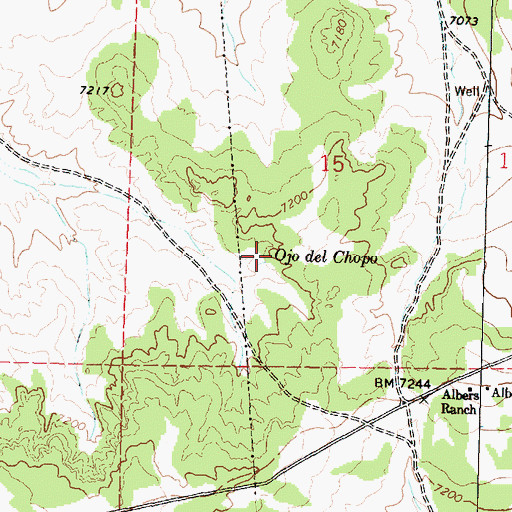 Topographic Map of Ojo del Chopo, NM