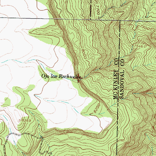 Topographic Map of Ojo los Rechuelos, NM