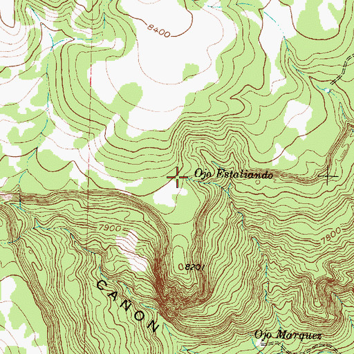 Topographic Map of Ojo Estaliando, NM