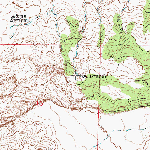 Topographic Map of Ojo Grande, NM