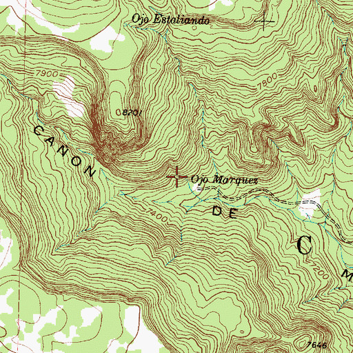 Topographic Map of Ojo Marquez, NM