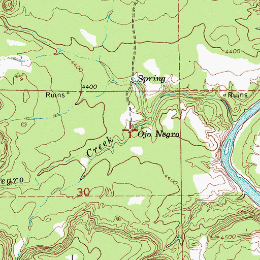 Topographic Map of Ojo Negro, NM