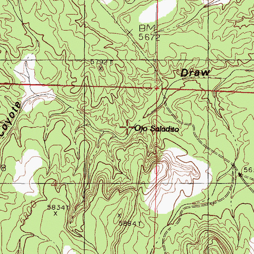 Topographic Map of Ojo Saladito, NM