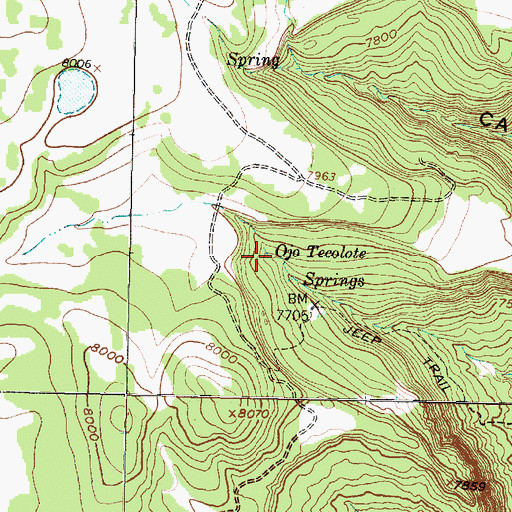 Topographic Map of Ojo Tecolote Springs, NM