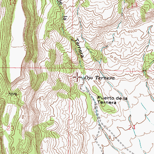 Topographic Map of Ojo Ternera, NM