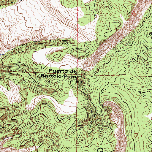 Topographic Map of Puerto de Bartolo Pino, NM
