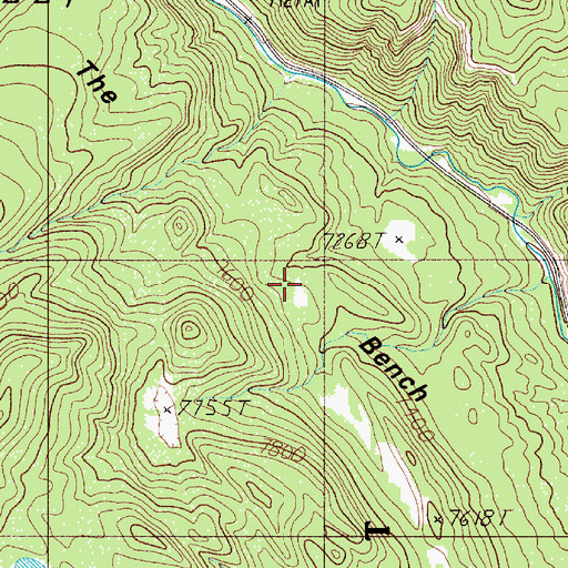 Topographic Map of The Bench, NM