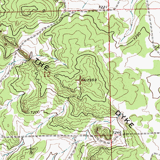 Topographic Map of The Dyke, NM
