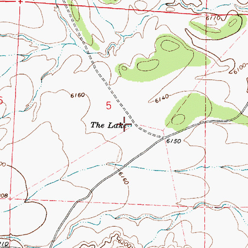 Topographic Map of The Lake, NM