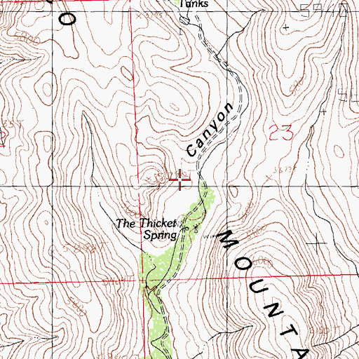 Topographic Map of The Thicket Spring, NM