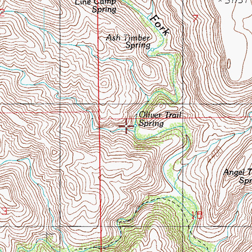 Topographic Map of Oliver Trail Spring, AZ