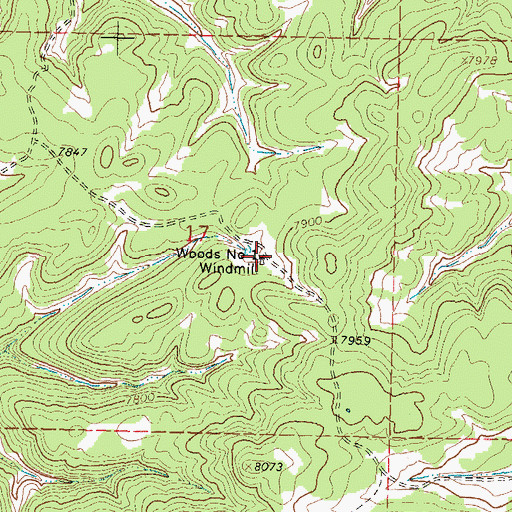 Topographic Map of Woods Number 1 Windmill, NM