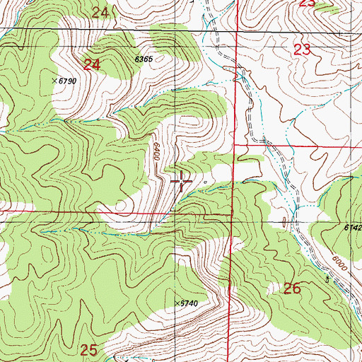 Topographic Map of Bear Den Spring, NM