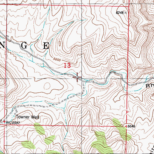 Topographic Map of Bosque Canyon, NM
