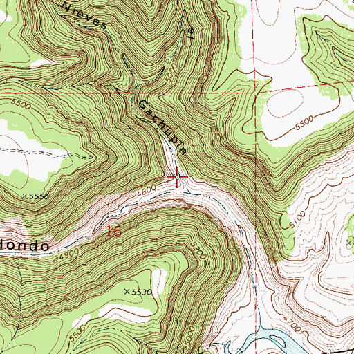 Topographic Map of Caon Dos Nieves, NM