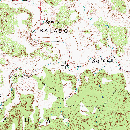 Topographic Map of Caon del Piojo, NM