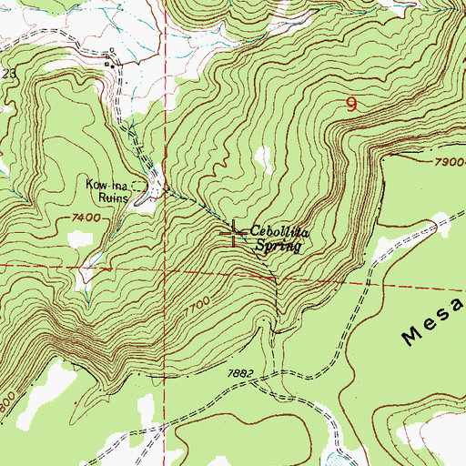 Topographic Map of Cebollita Spring, NM