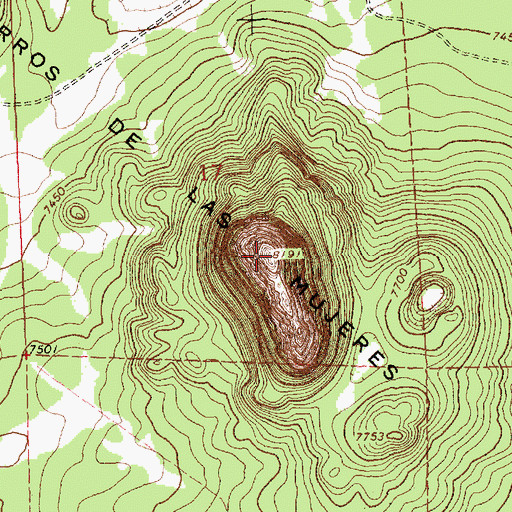 Topographic Map of Cerros de Las Mujeres, NM