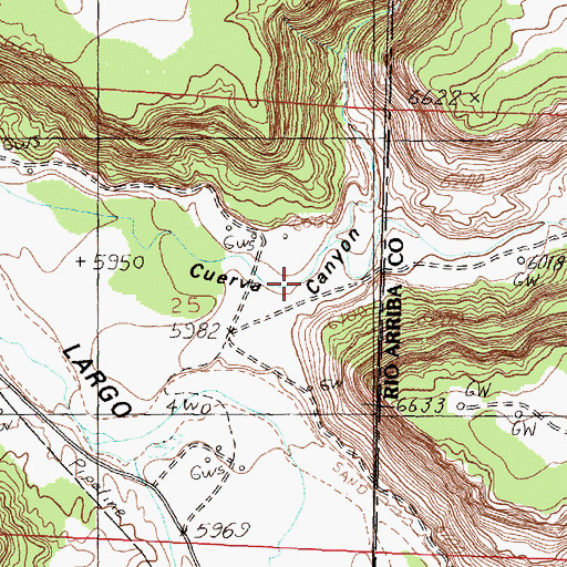 Topographic Map of Cuervo Canyon, NM