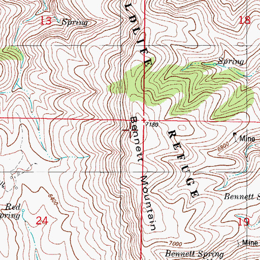 Topographic Map of Bennett Mountain, NM