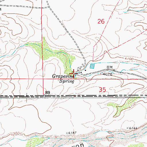 Topographic Map of Grapevine Spring, NM
