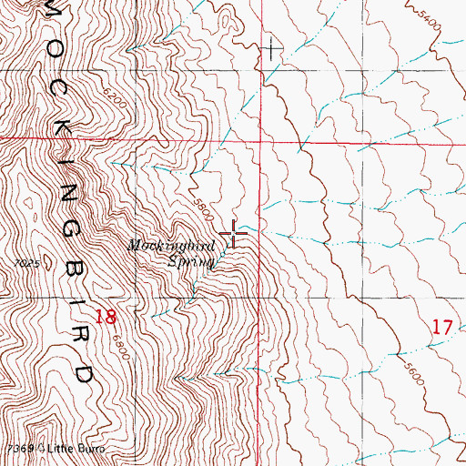 Topographic Map of Mockingbird Spring, NM