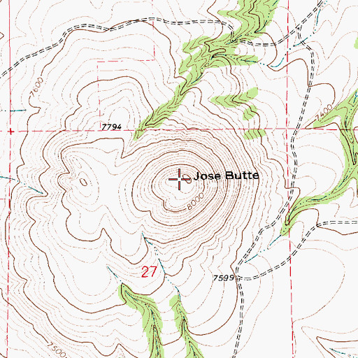 Topographic Map of Jose Butte, NM