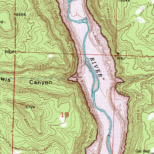 Topographic Map of Lewis Park Canyon, NM