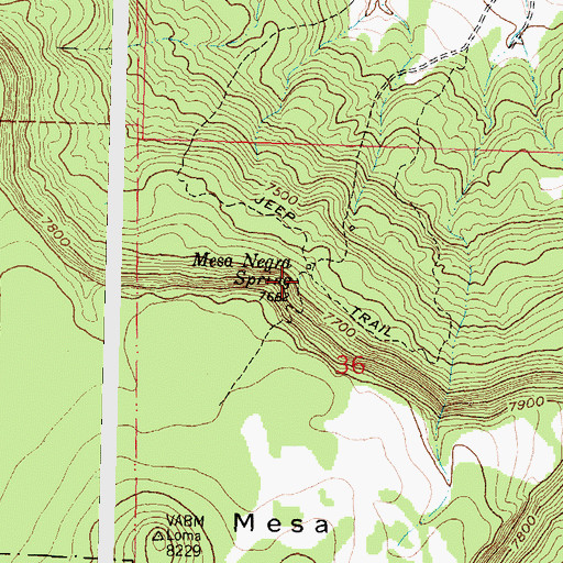Topographic Map of Mesa Negra Spring, NM