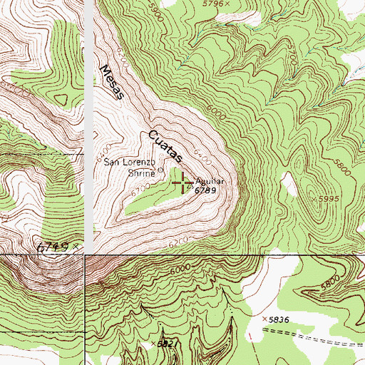 Topographic Map of Mesas Cuatas, NM