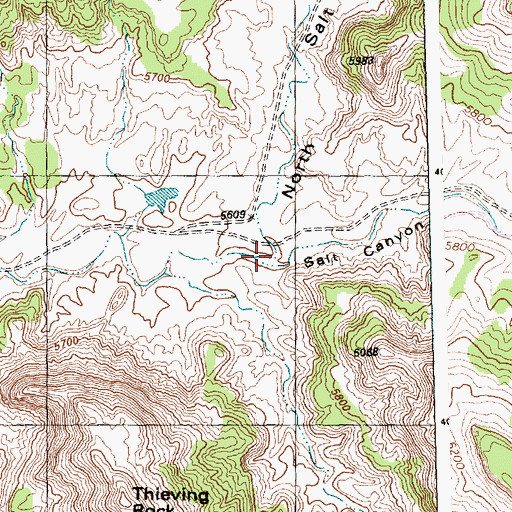 Topographic Map of North Salt Canyon, NM
