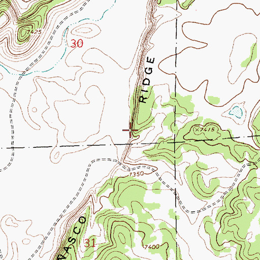 Topographic Map of Peasco Ridge, NM