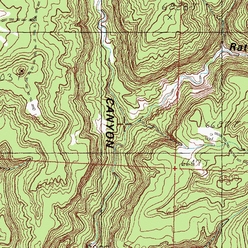 Topographic Map of Rattlesnake Canyon, NM