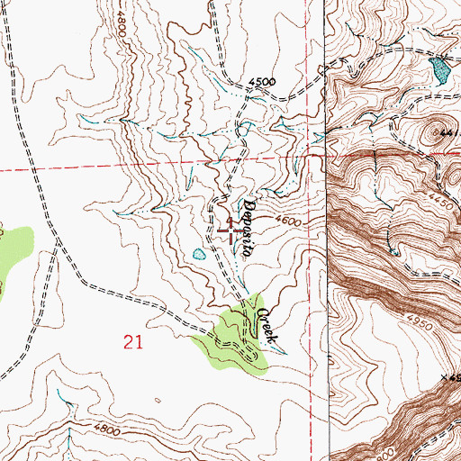 Topographic Map of Rincon Colorado, NM