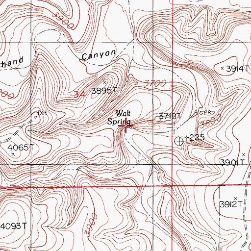 Topographic Map of Walt Spring, NM